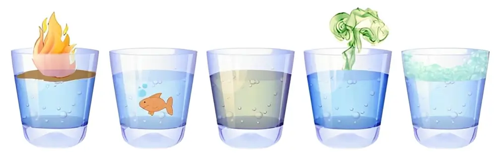 Los signos más comunes para detectar problemas en el agua